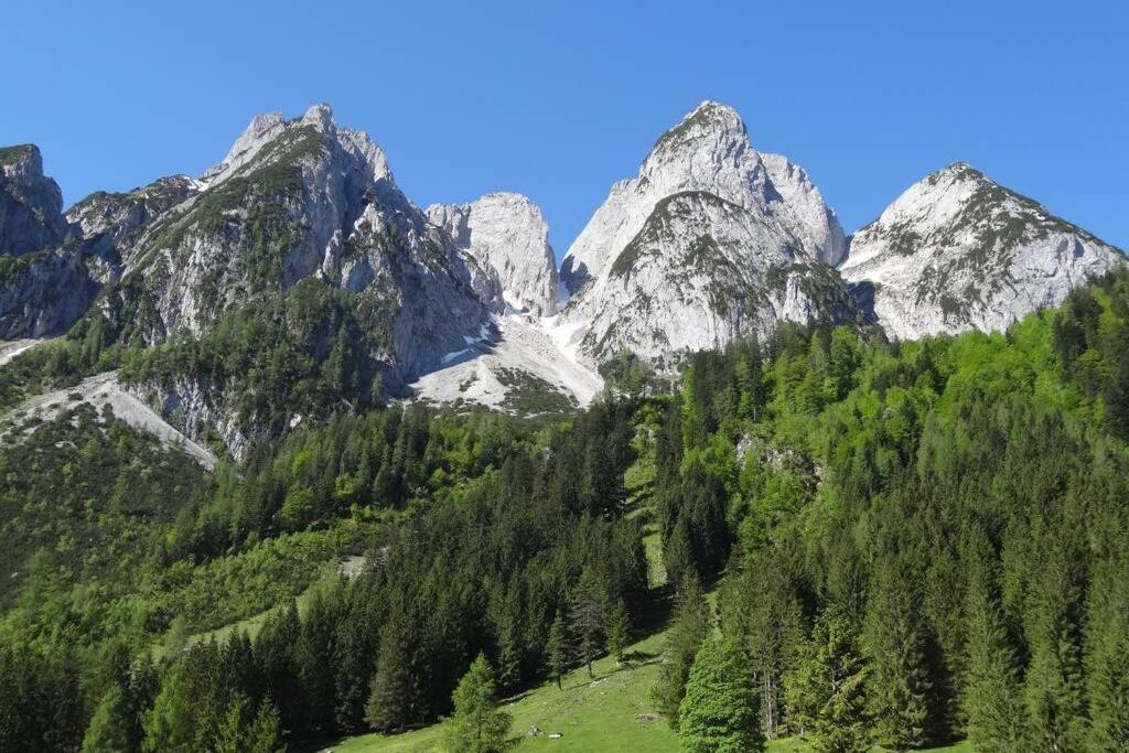 Das Almsternderl - Gemuetliche Wohnung In Gosau Exterior foto
