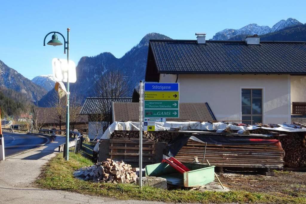Das Almsternderl - Gemuetliche Wohnung In Gosau Exterior foto