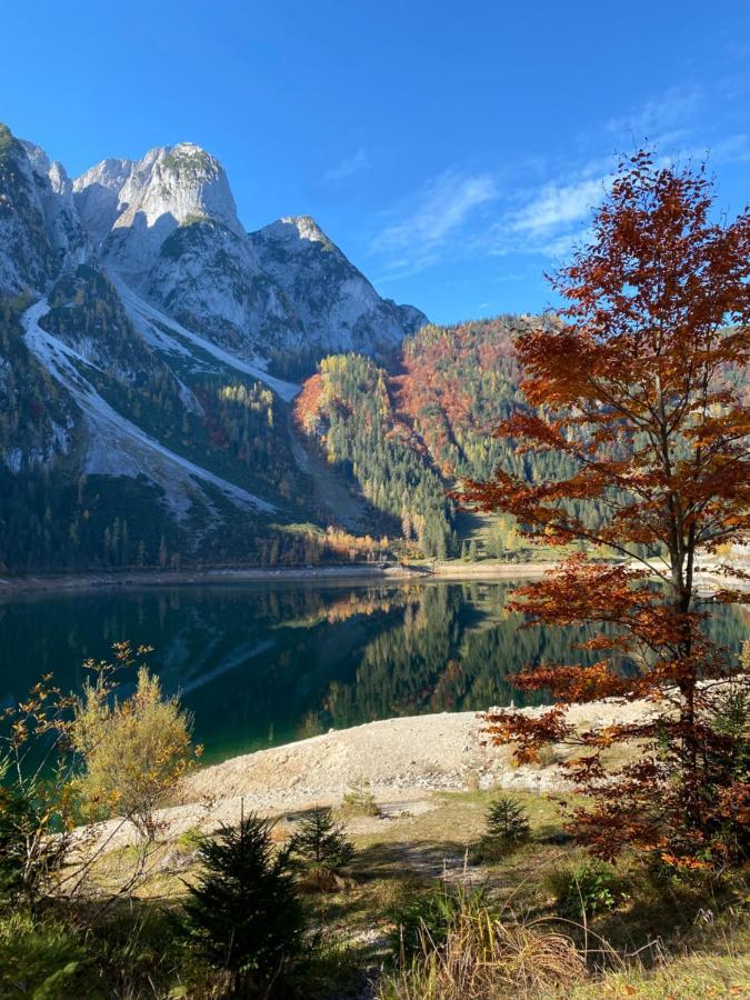 Das Almsternderl - Gemuetliche Wohnung In Gosau Exterior foto
